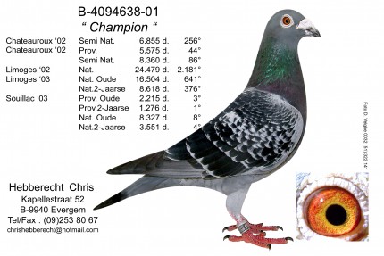 Chris Hebberecht pigeon BE01-4094638