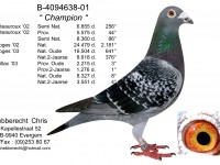 Chris Hebberecht pigeon BE01-4094638