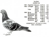 Chris Hebberecht pigeon BE90-4349551